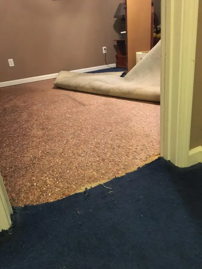 Carpet pad removal revealing water damage during Drying & Dehumidification in Roeland Park